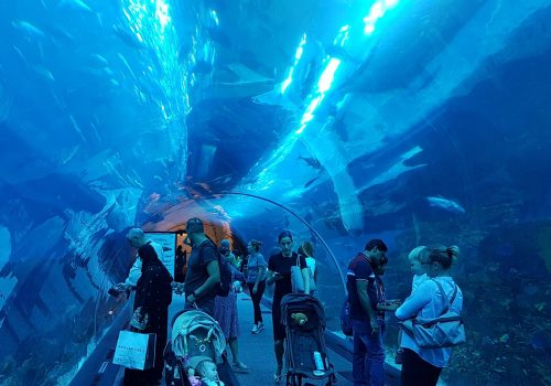Dubai Aquarium and Underwater ZOO